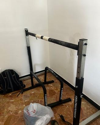 sbarra workout factory calisthenics static bar