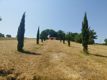 Annesso con terreno