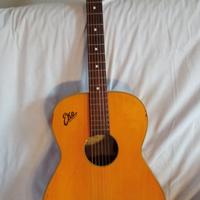 chitarra eko p 10