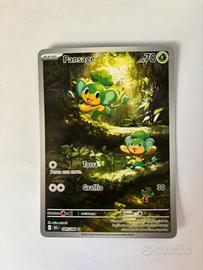 Pansage Illustrazione Rara