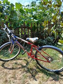 Bici da 26