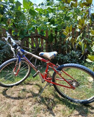 Bici da 26