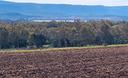 fertilia-terreno-agricolo-con-vista