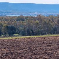 Fertilia terreno agricolo con vista