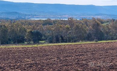 Fertilia terreno agricolo con vista