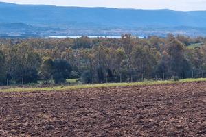 Fertilia terreno agricolo con vista