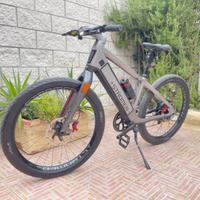 e-bike