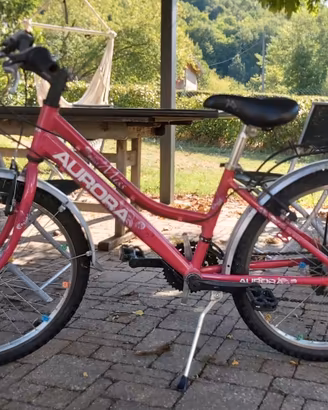 Bicicletta bambina 7- 11 anni