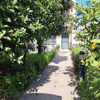 VILLA A SCHIERA A BRUSCIANO