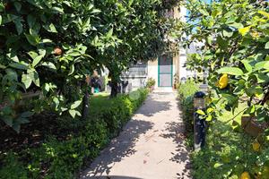 VILLA A SCHIERA A BRUSCIANO