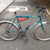 Bicicletta Uomo 