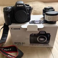 Canon 6D  Mark 2. Extender 1.4    Obiettivo 50mm