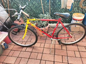 bici MTB taglia l
