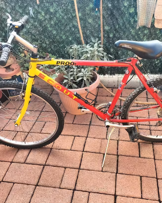 bici MTB taglia l