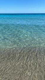 TORRE MOZZA-appartamento con cortile privato