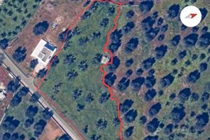 Terreno edificabile agro carovigno