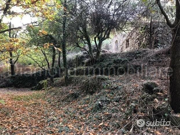 Terreno 20.000mq con fabbricato a Piedimonte Etneo - Vista 3