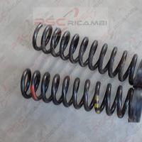 Molle posteriori Mercedes-Benz W124 classe E