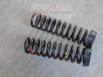 Molle posteriori Mercedes-Benz W124 classe E