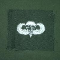 Original Us Army Vietnam Era Parachutiste Badge