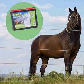 kit recinzione elettrica 