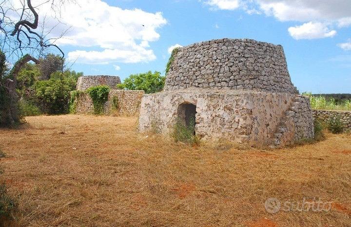 Terreno Agricolo 2.500 mq con pajara a Specchia (L - Vista 4