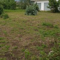 Terreno agricolo da coltivare