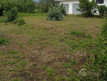 Terreno agricolo da coltivare