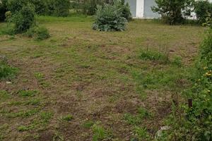 Terreno agricolo da coltivare