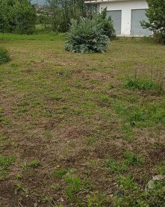 Terreno agricolo da coltivare