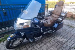 Goldwing 1500 km35000