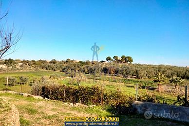 Terreno agricolo a Bisceglie