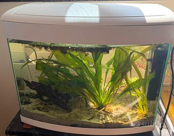 acquario nuovo
