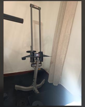 master gluteus homegym
