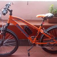 MTB lombardo 