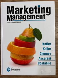 Marketing management sedicesima edizione