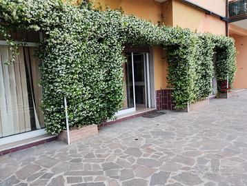 Locale commerciale ad Isola d Scala