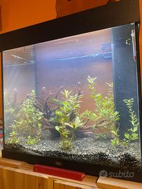 Acquario JUWEL 125 L