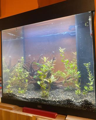 Acquario JUWEL 125 L
