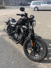 Harley Davidson 883 iron XL