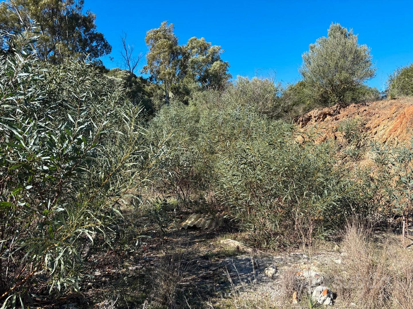 Terreno edificabile Borgo Rurale Stazione Vecchia - Altro