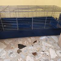 Gabbia per animali conigli cani gatti e tutto il r