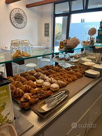 Bar caffetteria tavola fredda