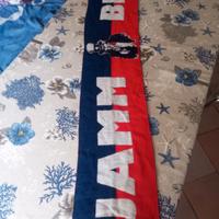sciarpa ultras Cosenza 
