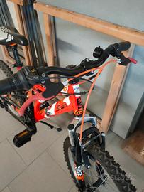 Mountain bike 