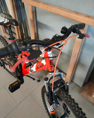Mountain bike 