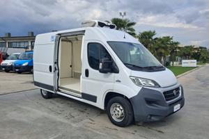 Fiat Ducato Furgonato FRIGORIFERO TRASPORTO CARNE