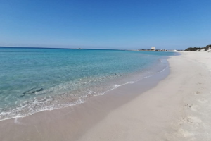 Salento e Mare a pochi km da Porto Cesareo