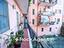 Immagine 15
