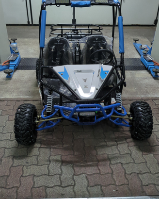 Buggy 125cc TaoMotors Triton
